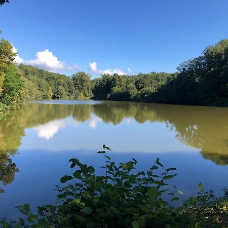 La Croix-en-TouraineLe Charme De L'Ancien Au Calme Et A 8 Min De Chenonceauxアパートメント エクステリア 写真