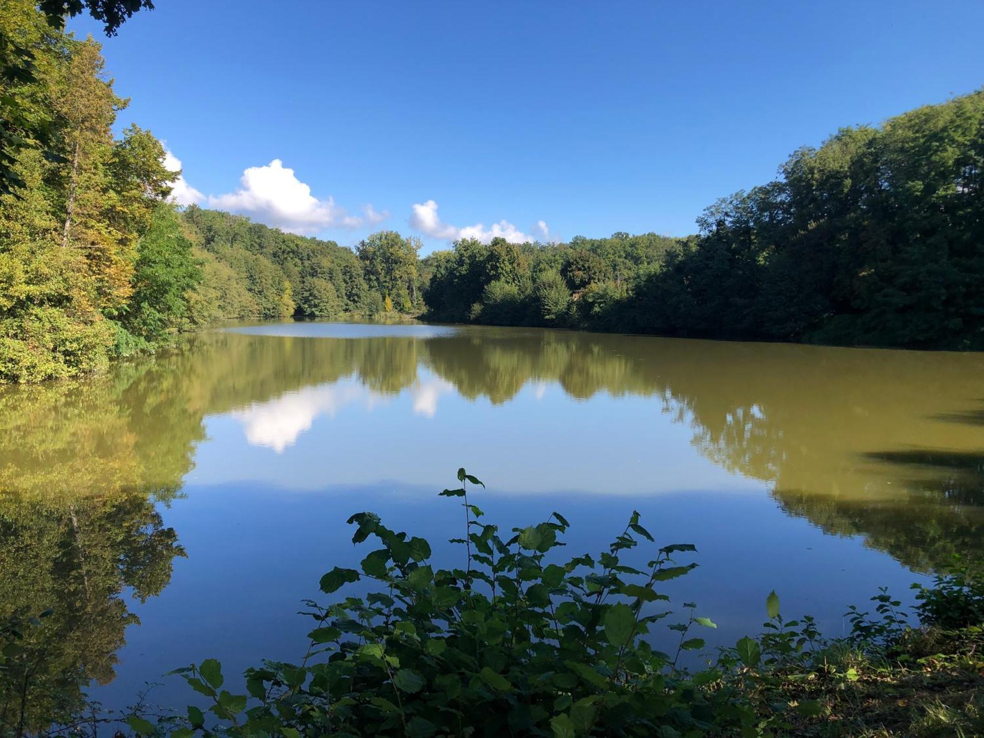 La Croix-en-TouraineLe Charme De L'Ancien Au Calme Et A 8 Min De Chenonceauxアパートメント エクステリア 写真